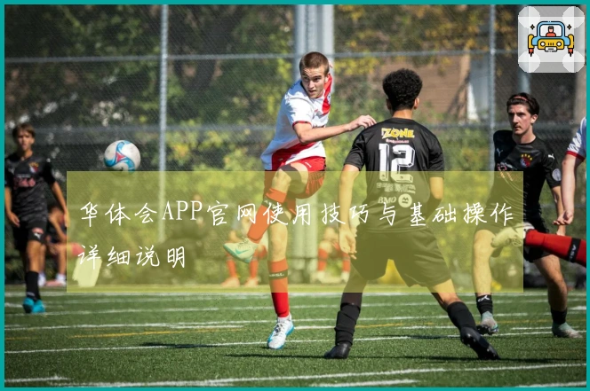 华体会APP官网使用技巧与基础操作详细说明